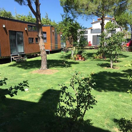 Sakiz Tiny House & Apart Urla Ngoại thất bức ảnh